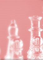 Top Header1