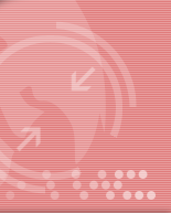 Top Header3